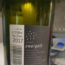 TasteVino, Sopron - Étel/ital