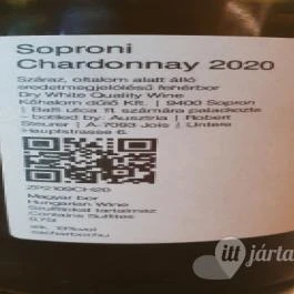 TasteVino, Sopron - Egyéb