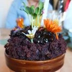 Tejjel Mézzel Étterem Göncruszka - Egyéb