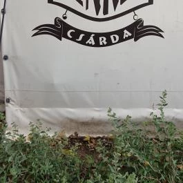 Tenkes Csárda, Csarnóta - Egyéb