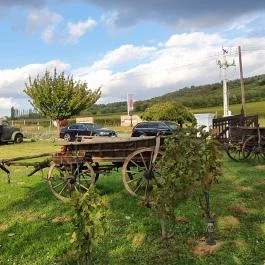 Tenkes Csárda, Csarnóta - Egyéb