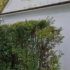 Tenkes Csárda Csarnóta - Egyéb