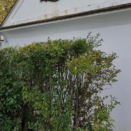 Tenkes Csárda, Csarnóta - Egyéb