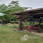 Tési Szélmalmok és Kovácsműhely Tés - Egyéb