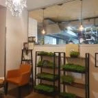 Teyföl Szentendre - Egyéb