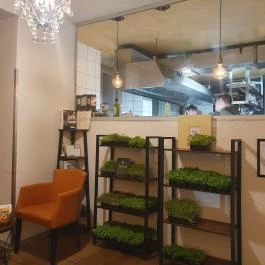 Teyföl Szentendre - Egyéb