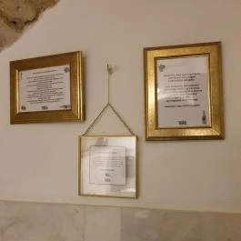 Teyföl Szentendre - Egyéb