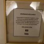 Teyföl Szentendre - Egyéb