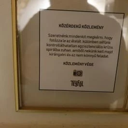 Teyföl Szentendre - Egyéb
