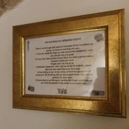 Teyföl Szentendre - Egyéb