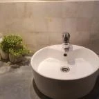 Teyföl Szentendre - Egyéb