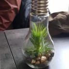 The Mayo Szeged - Belső