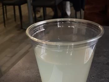 The Mayo Szeged The Mayo Szeged