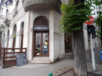 The Rabbit & The Duck Bar Budapest