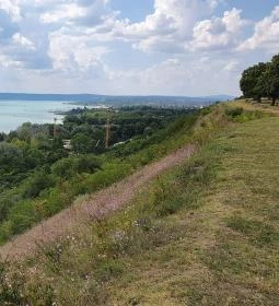 The Rusty Coffee Box