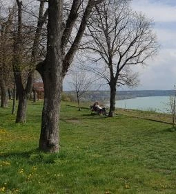 The Rusty Coffee Box