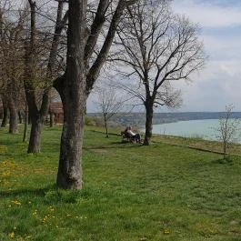The Rusty Coffee Box Balatonakarattya - Egyéb