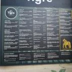Tigre Budapest - Egyéb