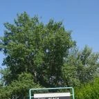 Tiki Beach Bisztró Zamárdi - Egyéb