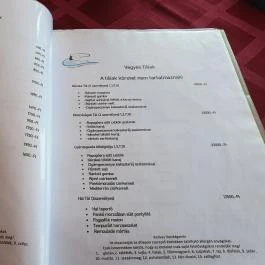 Tiszakanyar Étterem Tiszakécske - Egyéb