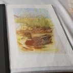 Tó Vendéglő Ajka - Egyéb