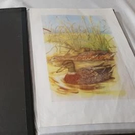 Tó Vendéglő, Ajka - Egyéb