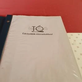 Tó Vendéglő Balatonf?zf? - Egyéb