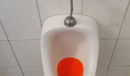 Tócsa Bisztró, Makó