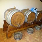 Tokaji Borház Debrecen - Belső