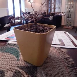 Tokaji Kávépörkölő Manufaktúra Tokaj - Egyéb