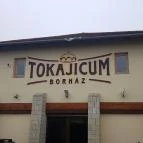 Tokajicum Borház Tarcal - Külső kép