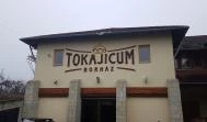 Tokajicum Borház Tarcal - Külső kép