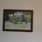 Tokajvár Hotel Tokaj - Egyéb