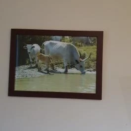 Tokajvár Hotel Tokaj - Egyéb