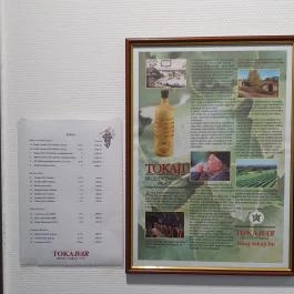 Tokajvár Hotel Tokaj - Egyéb