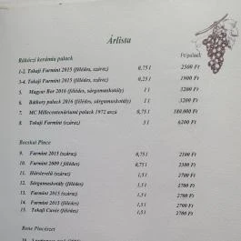 Tokajvár Hotel Tokaj - Egyéb