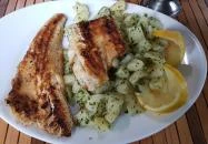 Tölgyfa Vendéglő Kiskunhalas