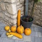 Tópart Café Tapolca - Egyéb