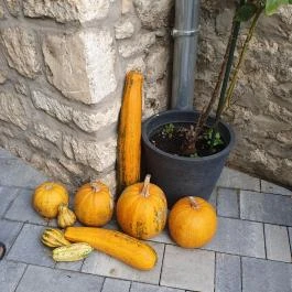 Tópart Café Tapolca - Egyéb