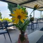 Tópart Hotel étterme Balatonvilágos - Egyéb