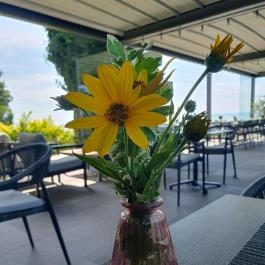 Tópart Hotel étterme Balatonvilágos - Egyéb