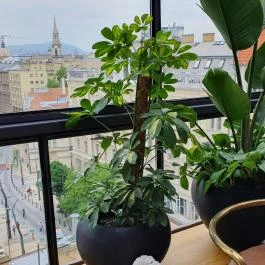 TOPRUM, Budapest - Belső