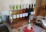 Török pince Hajós