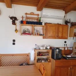 Török pince, Hajós - Egyéb