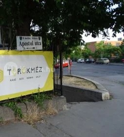 Törökméz