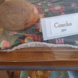 Tortuga & Pohánka, Budapest - Egyéb