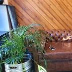 Trafó Café Esztergom - Belső