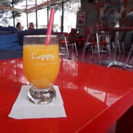 Tranzit Art Café & Bistro, Budapest - Étel/ital