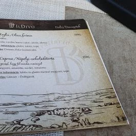 Trattoria Il Divo Szeged - Egyéb