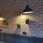 Travel Kávézó Vác - Egyéb